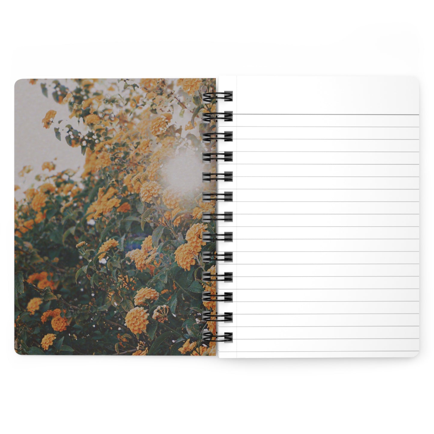 Ghost Spiral Notebook