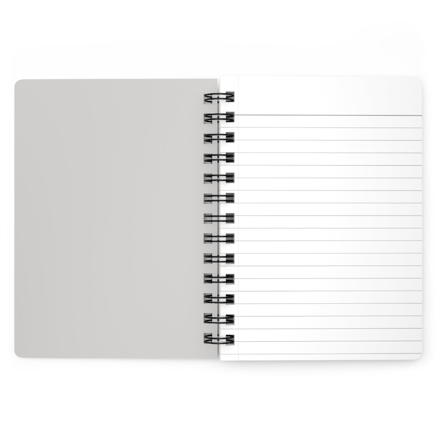 "I am and have always been supported by money" Affirmation Spiral Notebook
