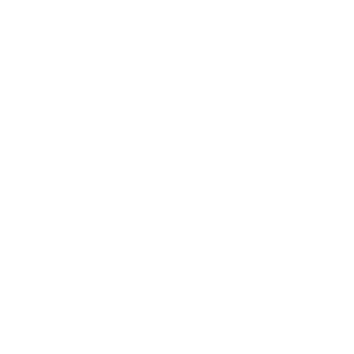 Slow Mornings Co.
